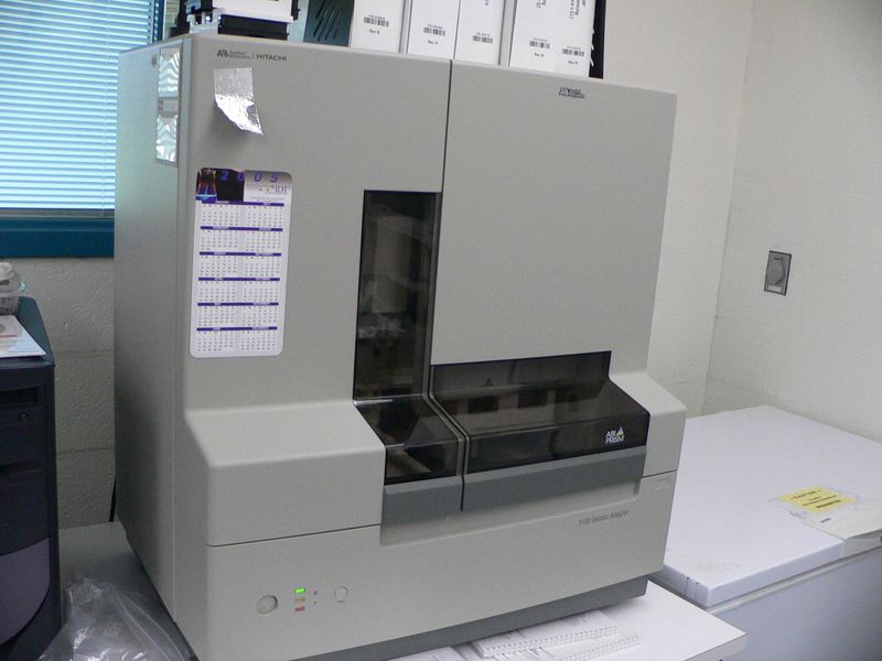 实验台上的 ABI PRISM 3100 基因分析仪