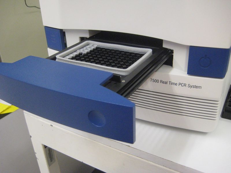 Applied Biosystems 7500 Real-Time PCR System with the plate tray open